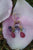 Prosperity Gem Earrings