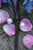 Love Nest Big Pendant Necklace